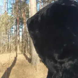 Финляндия