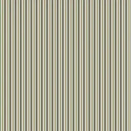 asgfsg