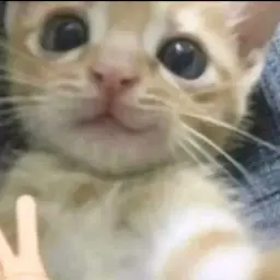 Veori