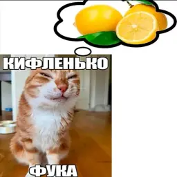 Nefepity