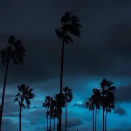 bipolaralert