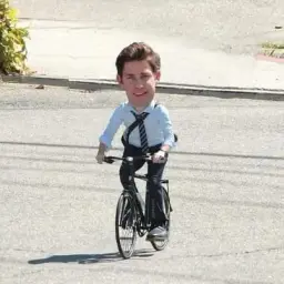 shieldgang