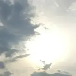 Hilen_inactive9865456