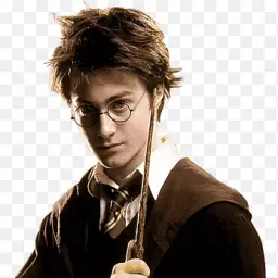 HarryP