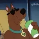 kaxa_volk