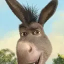 old_donkey