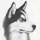 REIK501