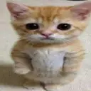 w1ndyxz