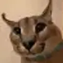 Syrval