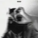 xemm1