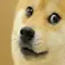JoshOMGpls