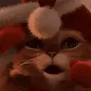 Foxery