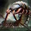 Centipede123
