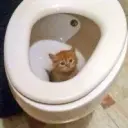 1mount1