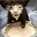 l1ttlesalt