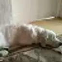 Horny_Games