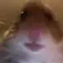 3232333