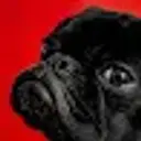 Lolz profile picture for @Hidayat