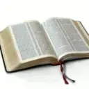bookfreeok