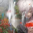 violvalyaj