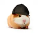 Lolz profile picture for @definite