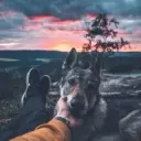 id406199554