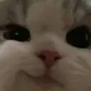 kruasan18