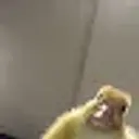dxrkzlol