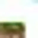 Fil5pro7