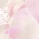 YoGaa