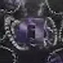 kaktus1237