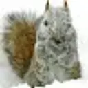 Saltito