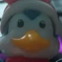 bobri_top0