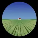 wholelottared1