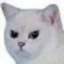 Lolz profile picture for @sweetly