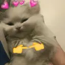 thebirst