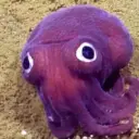 Tentacle_inactive5210439
