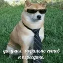 ershik228