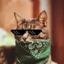 ralliboi