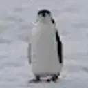 Nenyyb2022