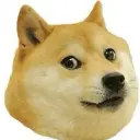 futtupy
