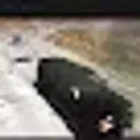 Ars25