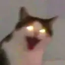 MiroTvorec
