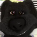 epopov666