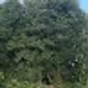 ЖОООООООПА