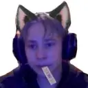 zxc666666