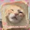 Lolz profile picture for @Jars