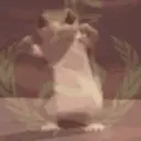 Asinator