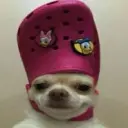 abibasss99