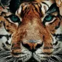 id674729611